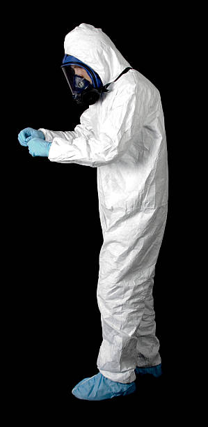 Professional Mold Removal in Brookwood, AL